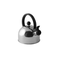 Boil It Stainless Steel 1L Whistling Kettle